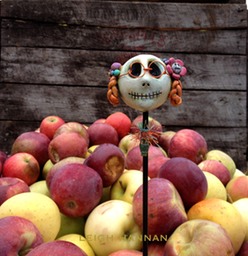 apples